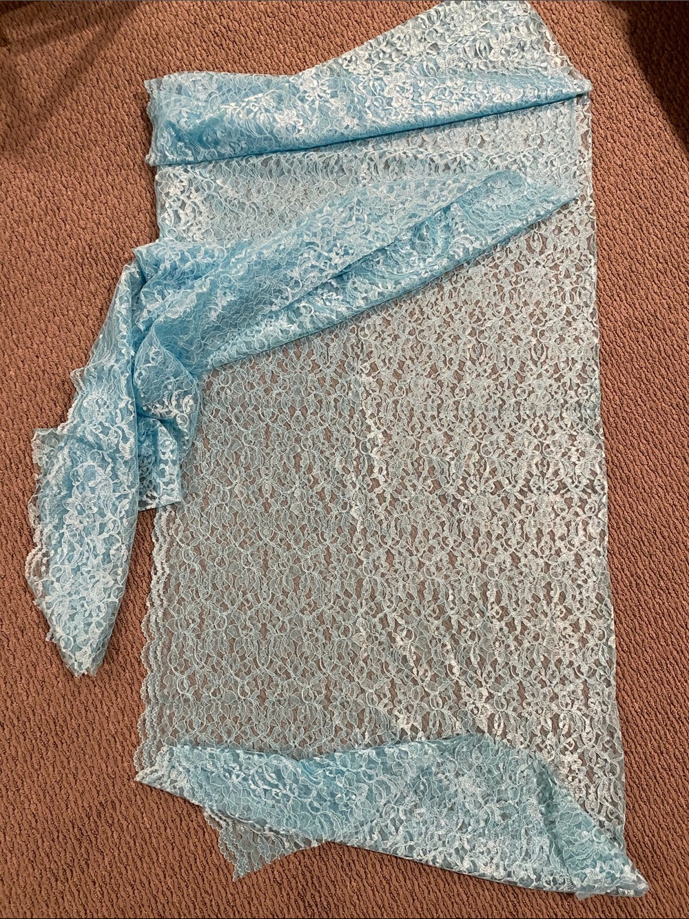 Light Blue Lace Fabric with scalloped edges -12 feet long Panel